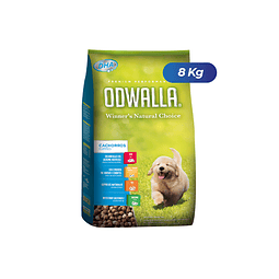 Odwalla Premium Cachorros 8 Kg