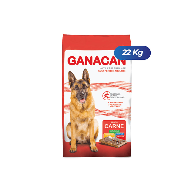 Ganacan Adultos Carne 22 Kg