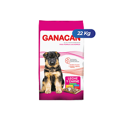 Ganacan Cachorros 22 Kg