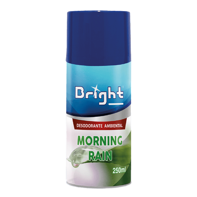 Dte. Ambiental Refill Bright 250 ml Morning Rain