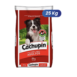 Cachupín 