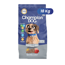 Champion Dog senior