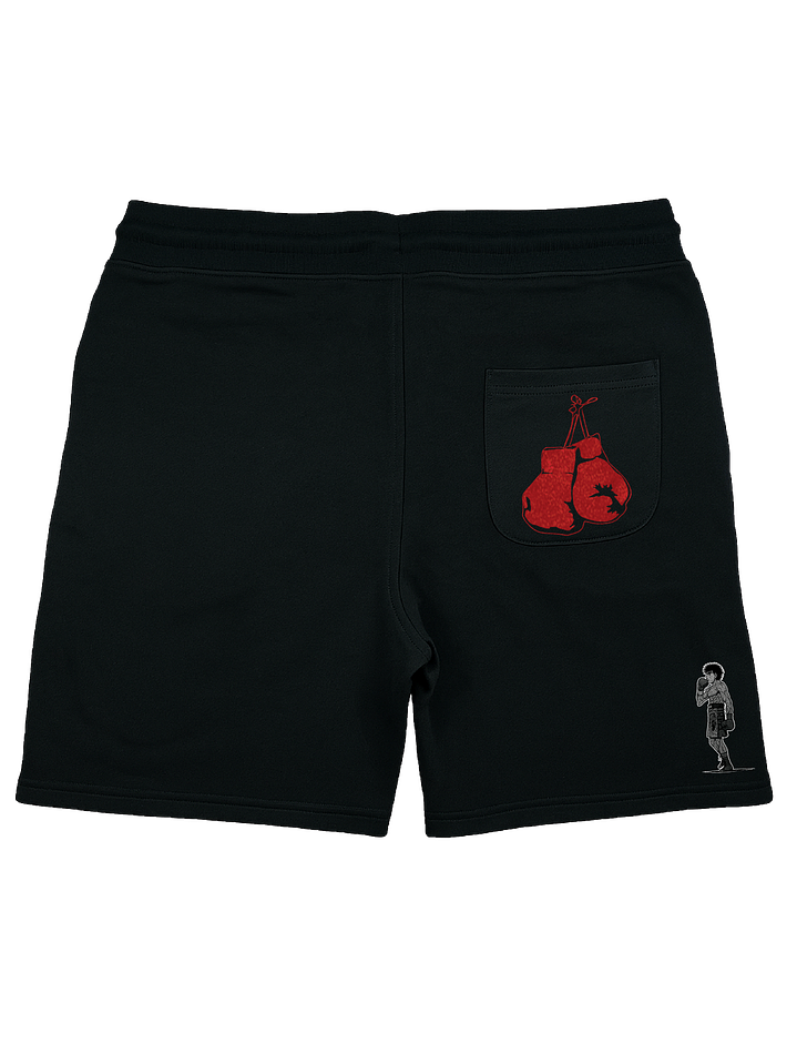 Kamogawa Boxing Gym (Short) 2