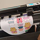 Vinilo adhesivo impreso - Miniatura 4