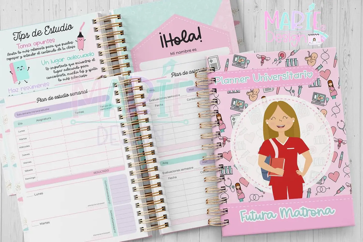 Planner Universitario 4