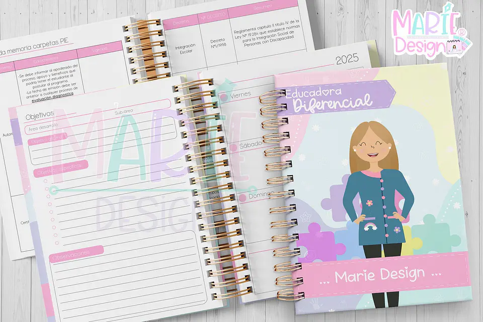Planner Educadora diferencial 1