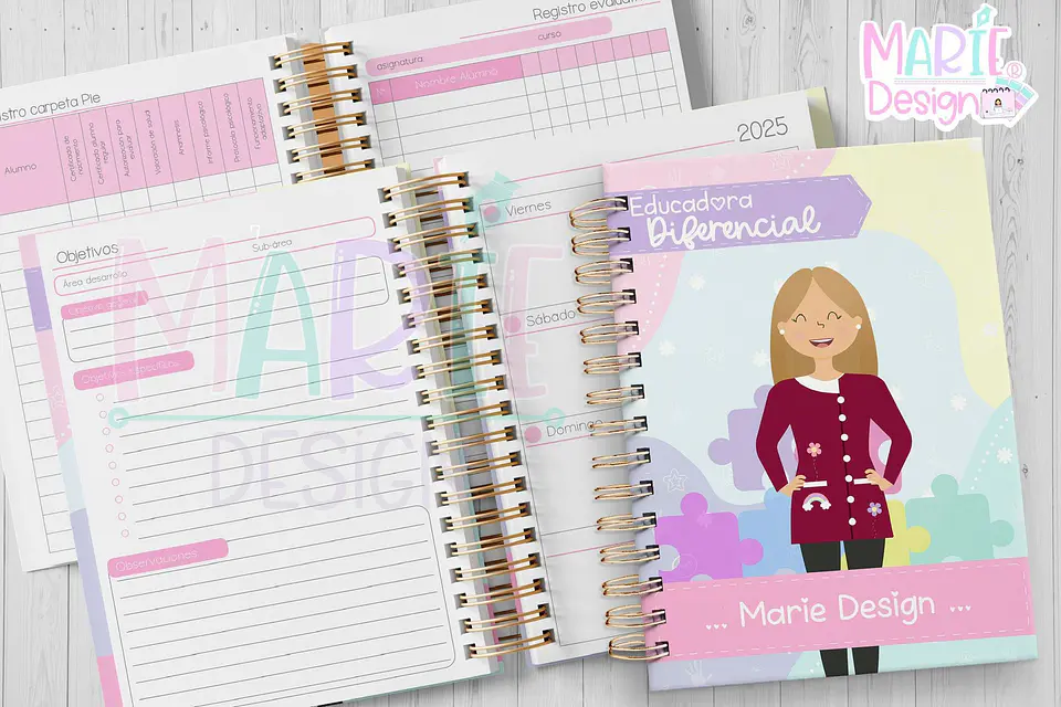 Planner Educadora diferencial 2