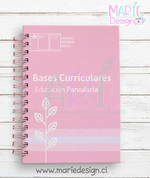 Bases Curriculares párvulos