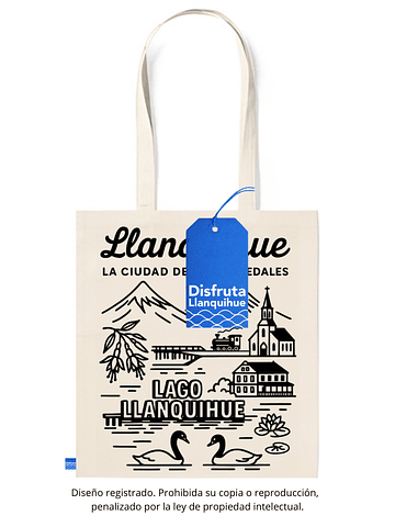 Llanquihue la ciudad de los humedales