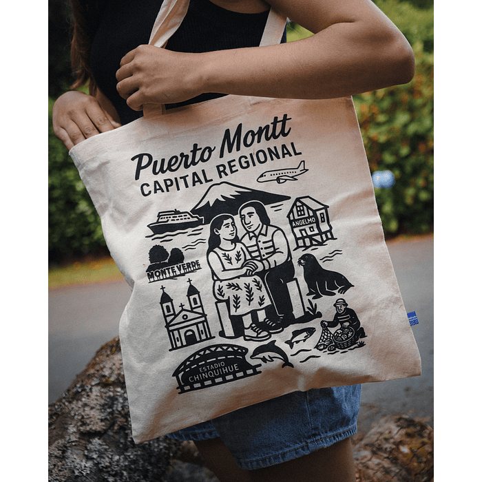 Puerto Montt capital regional 1