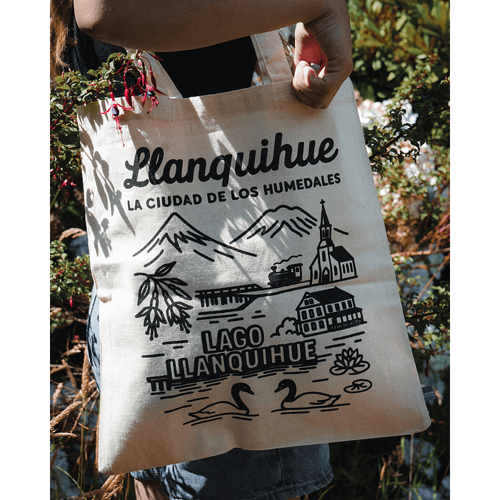 Llanquihue la ciudad de los humedales 1