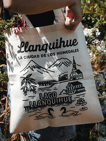 Llanquihue la ciudad de los humedales