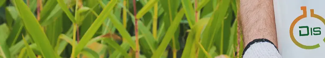 Agrícola