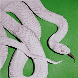 Deftones – Private Music (Vinilo Sellado)