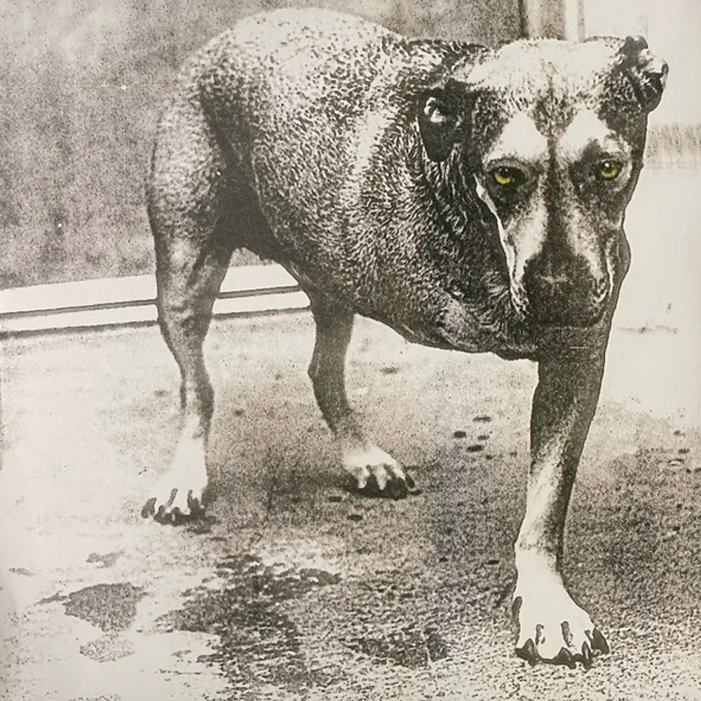 Alice In Chains – Alice In Chains (2 x Vinilo Sellado)