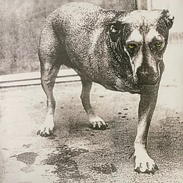 Alice In Chains – Alice In Chains (2 x Vinilo Sellado)