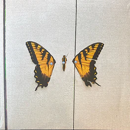 Paramore - Brand New Eyes (Vinilo Sellado) 