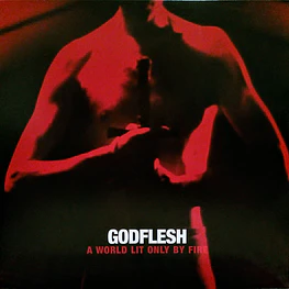 Godflesh - A World Lit Only By Fire (Vinilo Simple Usado) (NM)