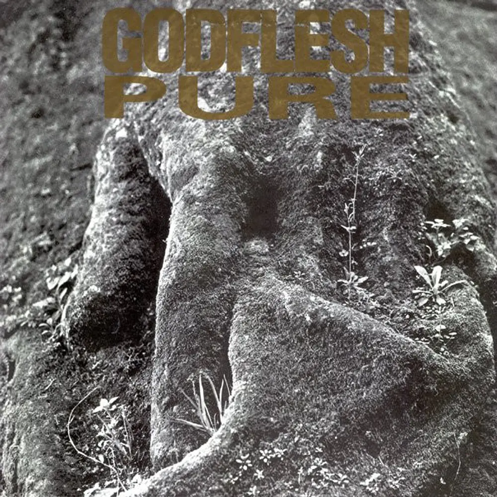 Godflesh - Pure (2 Vinilos, Usado) (NM)