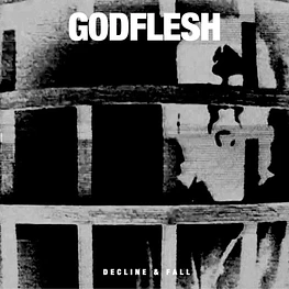 Godflesh - Decline & Fall E.P (Vinilo Simple Usado) (NM)