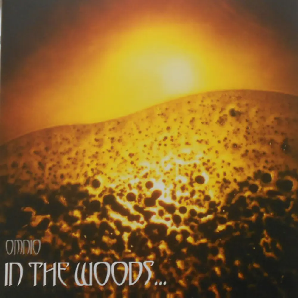 In The Woods - Omnio (2 Vinilos Nuevo) 