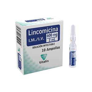 LINCOMICINA 600MG/2ML X 10 AMP- - VITALIS- 17-D