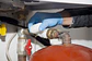 Cinta Reparadora De Tuberias Duradera y Autoadhesiva Repair-Tape  - Miniatura 5