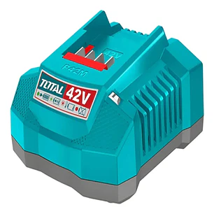 CARGADOR INTELIGENTE P42M 2A TOTAL