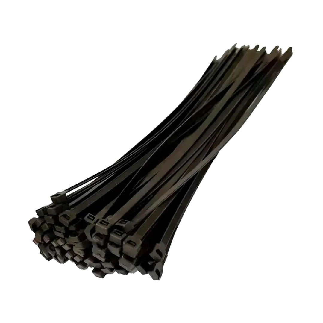AMARRA PLASTICA 4.8X250MM NEGRO 1