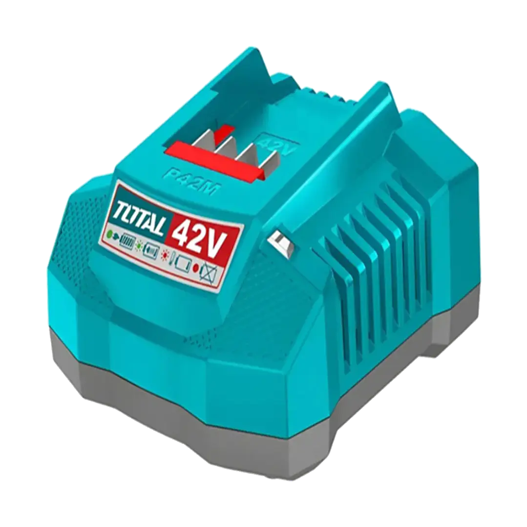 CARGADOR INTELIGENTE P42M 2A TOTAL 1