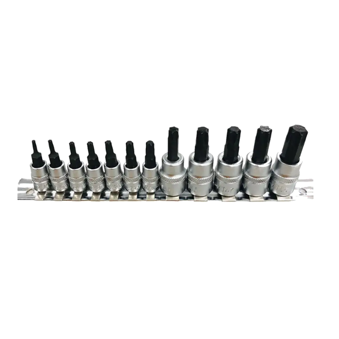 Juego de Dados de Punta Torx 12 Piezas TOTAL 1