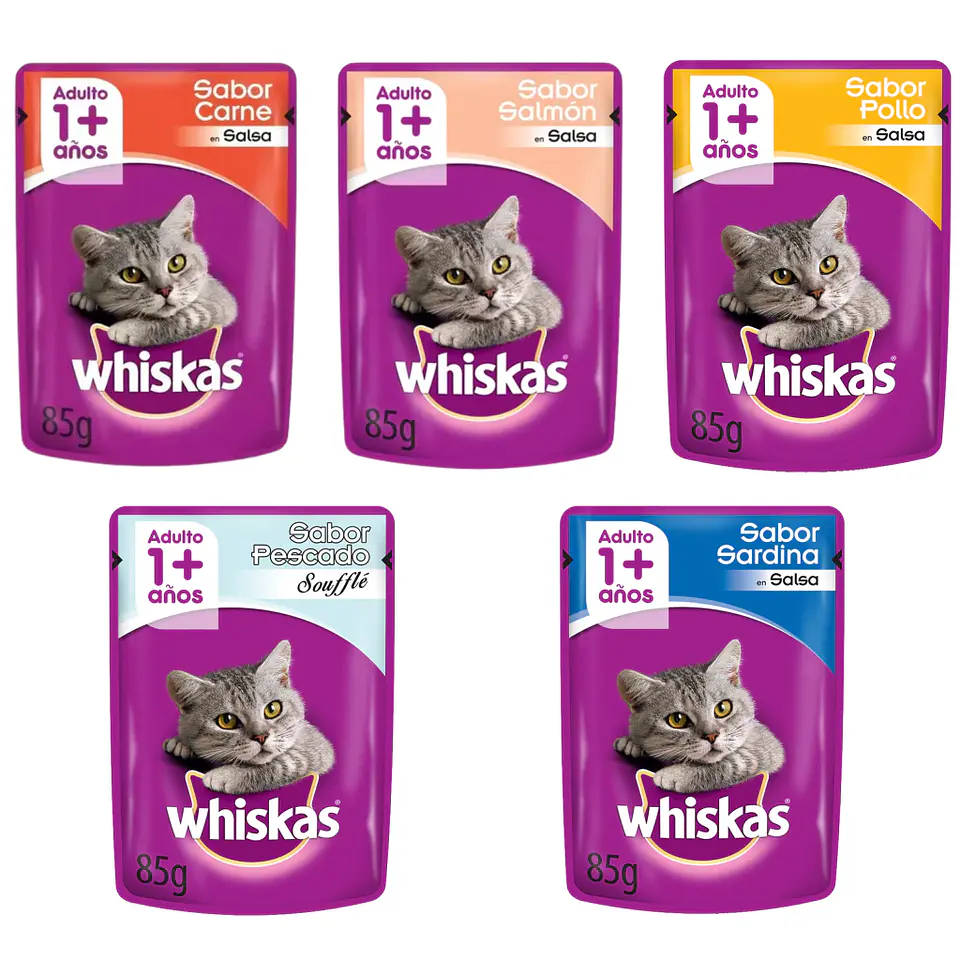 POUCH WHISKAS 100GR X12 1