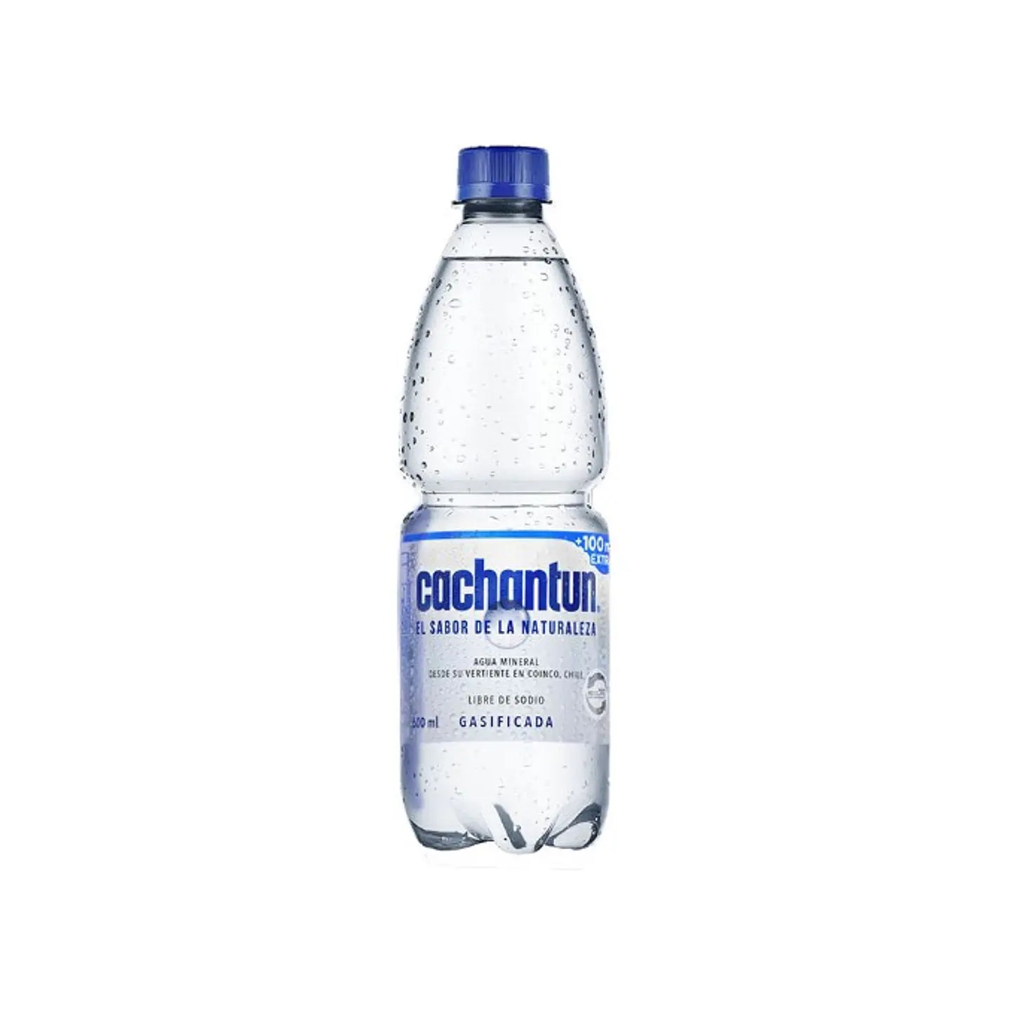 AGUA MINERAL CON GAS 600ML CACHANTUN  1