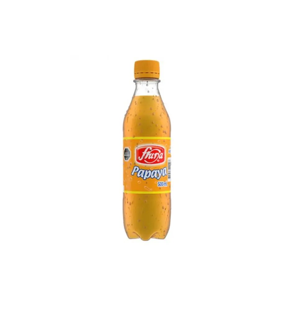 FRUNA PAPAYA 500 ML X 12 UNI 1