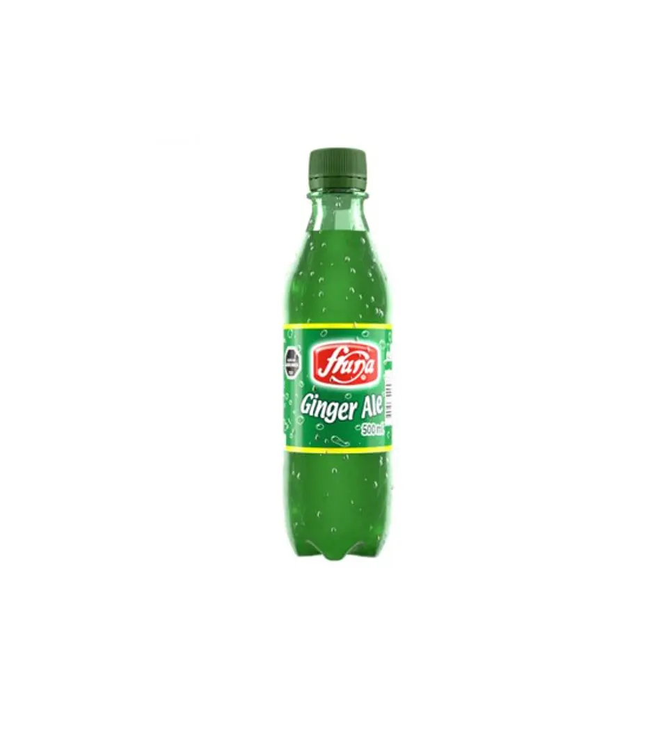 FRUNA GINGER 500 ML X 12 UNI 1