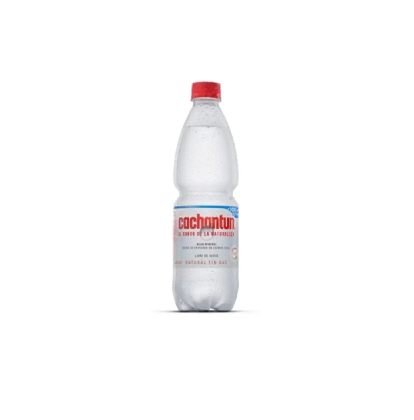 CACHANTUN 600 ML DISPLAY 12UNI SIN GAS 1