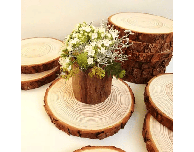 Alerta Sucediendo lamentar Mini Rodajas de tronco de madera rusticas Medidas : de 6 a 7