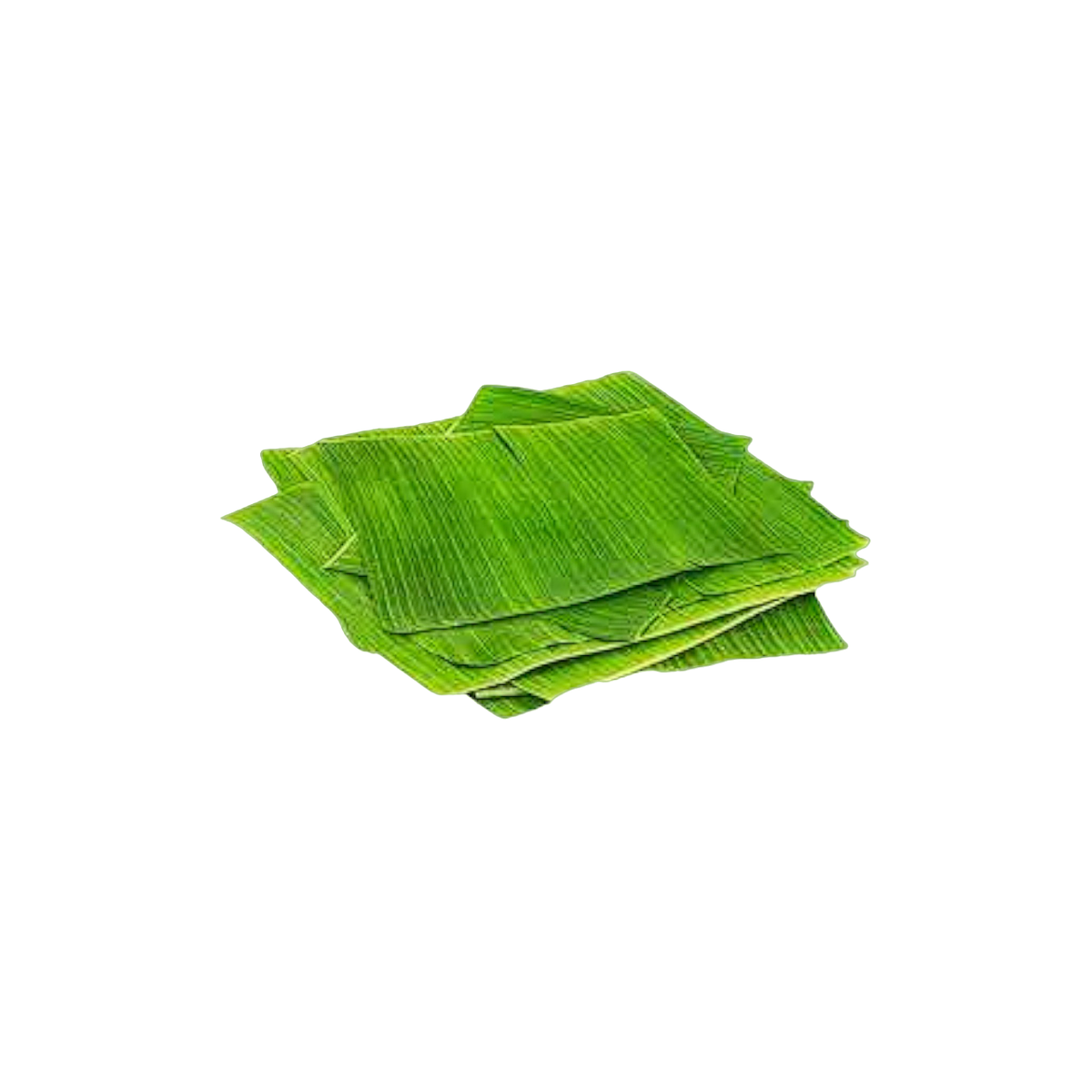 Hoja de Hallaca