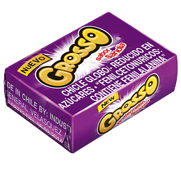 Chicle Grosso Sandía (100 UD)