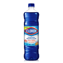 Limpiador Desinfectante Clorox Marina ( 3 x 900 ML )