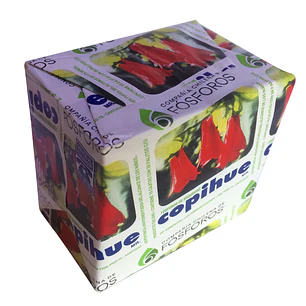 Fósforos Copihue ( 10 x 10 cajitas )