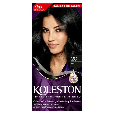 Tinte Koleston 20 Negro ( 1 UD )