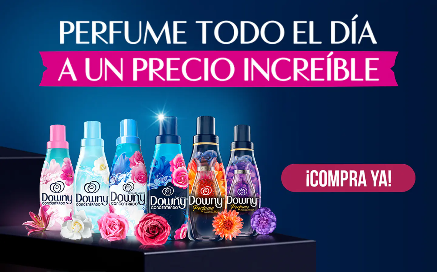 Distribuidora José González y Cía Ltda