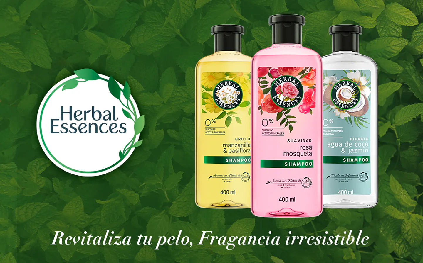 Distribuidora José González y Cía Ltda