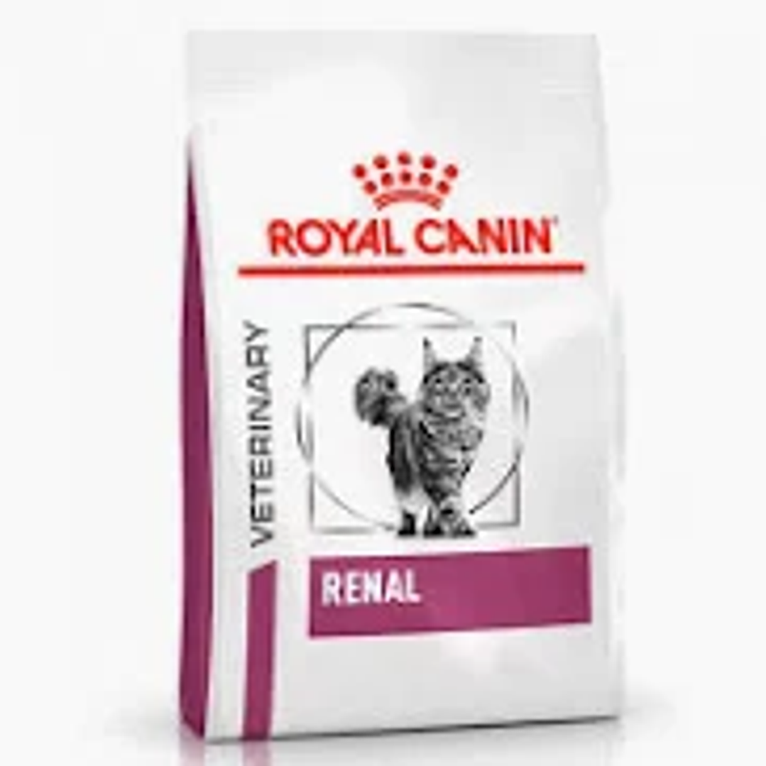 ROYAL CANIN RENAL PARA GATOS 2KG 1