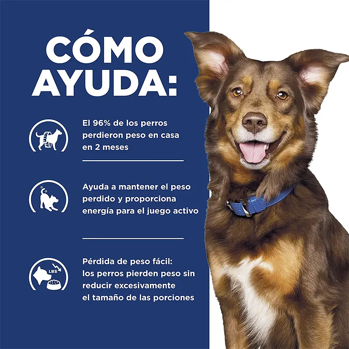 Hill's Prescription Diet Metabolic 12.5 kilos — Control de Peso Canino  3