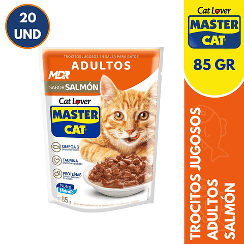 MASTER CAT SACHET ADULTO SALMON 85GR - 20 UND