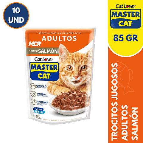 MASTER CAT SACHET ADULTO SALMON 85GR - 10 UND