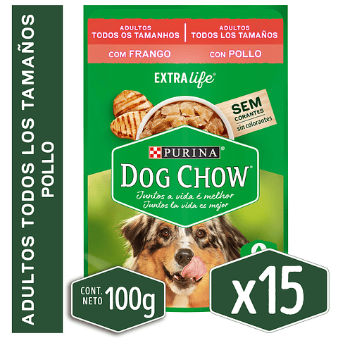 DOG CHOW SACHET POLLO 100GR x15 UND