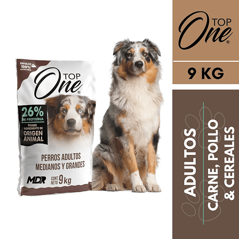 TOP ONE PERROS ADULTOS 9KG
